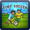 Tiny Soccer